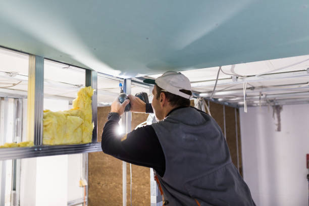 Best Insulation Maintenance and Repair in Olympia, WA