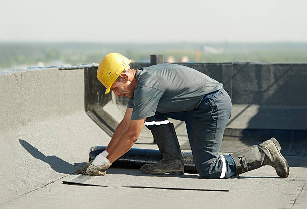 Best Cellulose Insulation in Olympia, WA