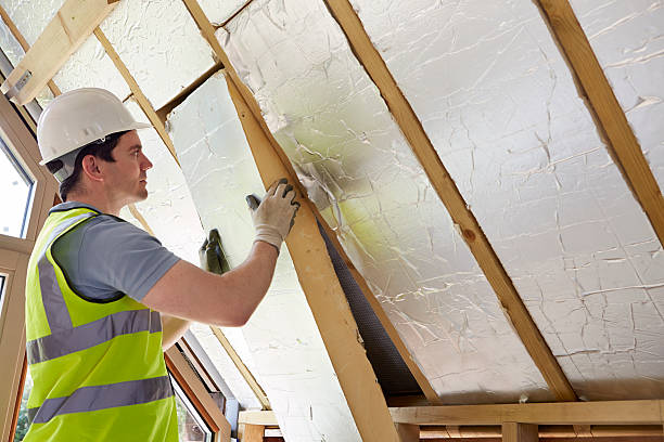 Best Specialized Insulation Services in Olympia, WA