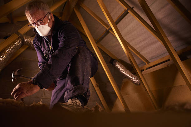 Best Spray Foam Insulation in Olympia, WA