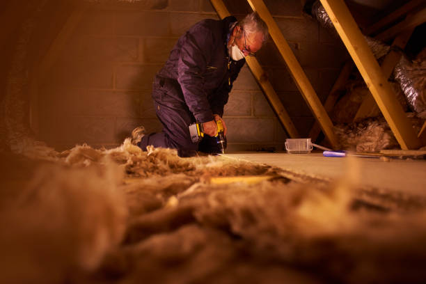 Best Spray Foam Insulation in Olympia, WA